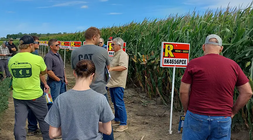 field day corn observation