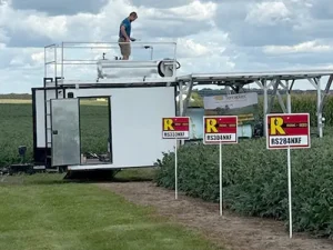 ryan o field day